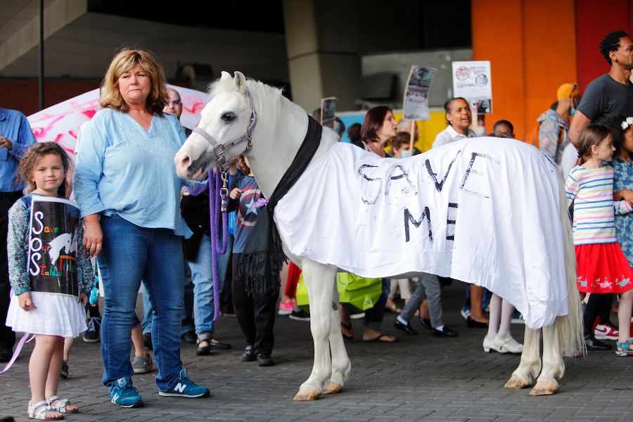 westway23-save-stables